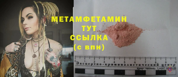ГАЛЛЮЦИНОГЕННЫЕ ГРИБЫ Богданович
