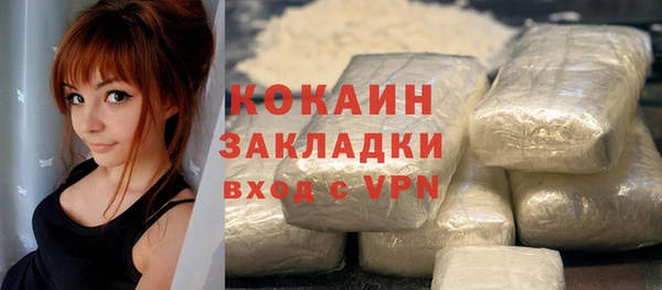 apvp Богородицк
