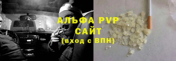 ГАЛЛЮЦИНОГЕННЫЕ ГРИБЫ Богданович