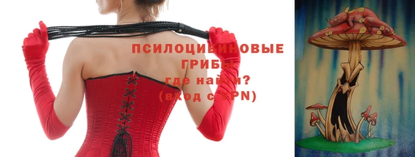 apvp Богородицк