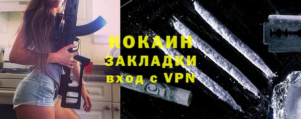 ГАЛЛЮЦИНОГЕННЫЕ ГРИБЫ Богданович