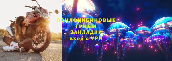 соль ск Богородск