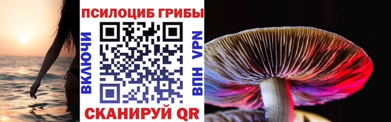 Псилоцибиновые грибы Psilocybine cubensis  наркошоп  blacksprut маркетплейс  Сланцы 
